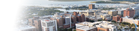 MUSC arial view