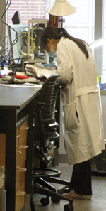 Researcher in Dr.
                                          Wen's lab.