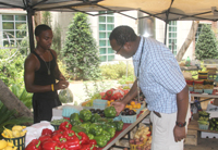 Farmers market