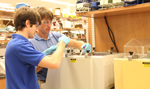 Students in summer
                                          research program